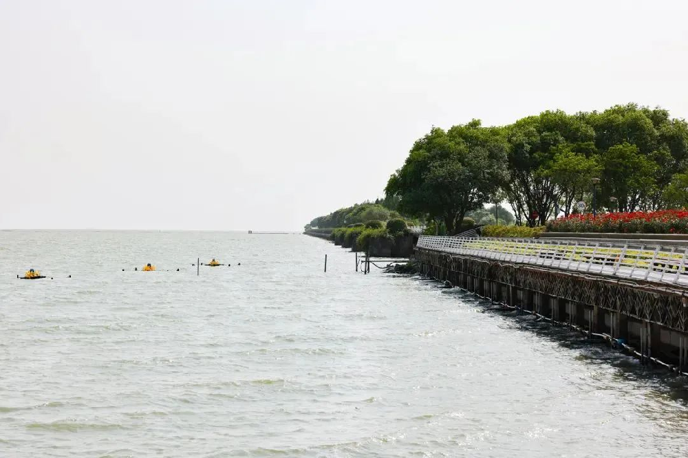 兼顾治标与治本、统筹水中与岸上，确保太湖实现更高水平“两保两提”